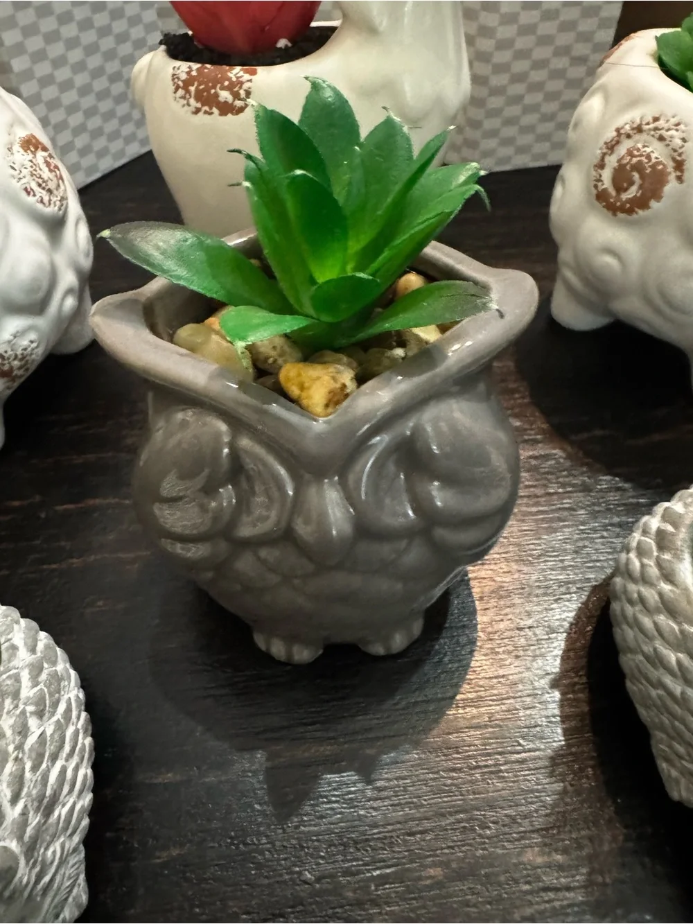 Gray Ceramic Owl Planter with Green Succulent